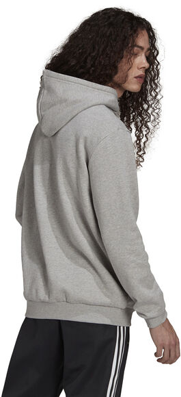Adicolor Classics Trefoil hoodie