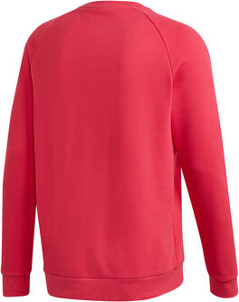 Trefoil Essentials Sweatshirt