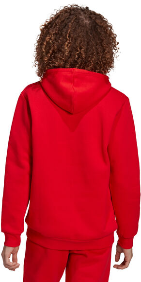 Adicolor Essentials Trefoil hoodie