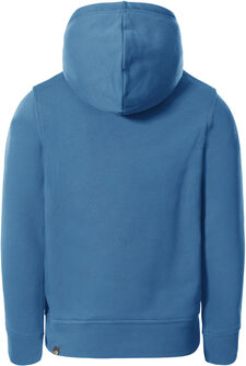 Drew Peak Pullover kids hoodie